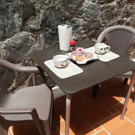 Orquidea Del Sur Los Cristianos (Tenerife)