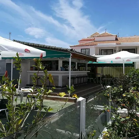 Orquidea Del Sur Apartment Los Cristianos (Tenerife)