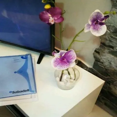 Orquidea Del Sur Apartment *
