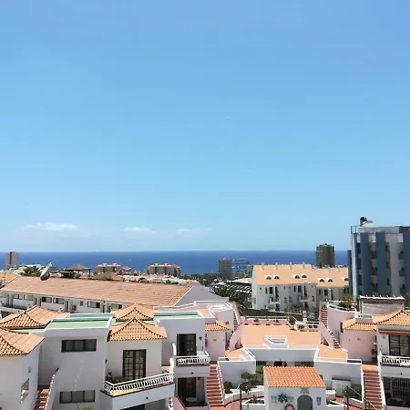 Orquidea Del Sur * Los Cristianos (Tenerife)