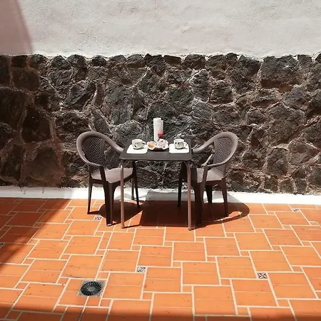 Orquidea Del Sur Los Cristianos (Tenerife)