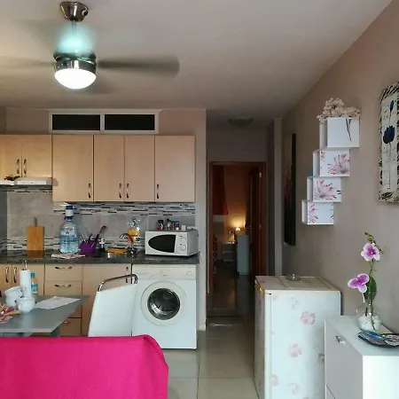 Orquidea Del Sur Apartment Los Cristianos (Tenerife)